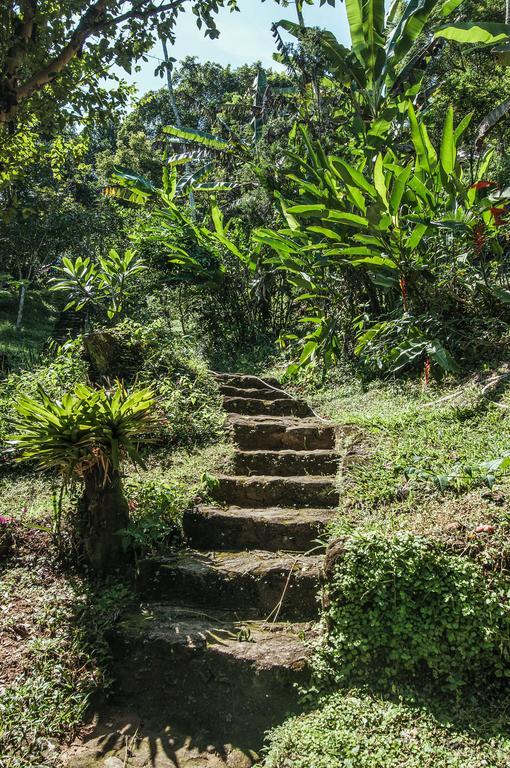 Ytororô O som das águas Parati Exterior foto